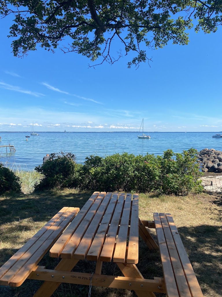 espergaerde-beach-7.jpeg