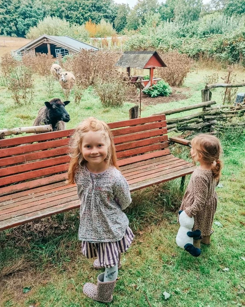 legeplads-nyruphus-4.jpeg