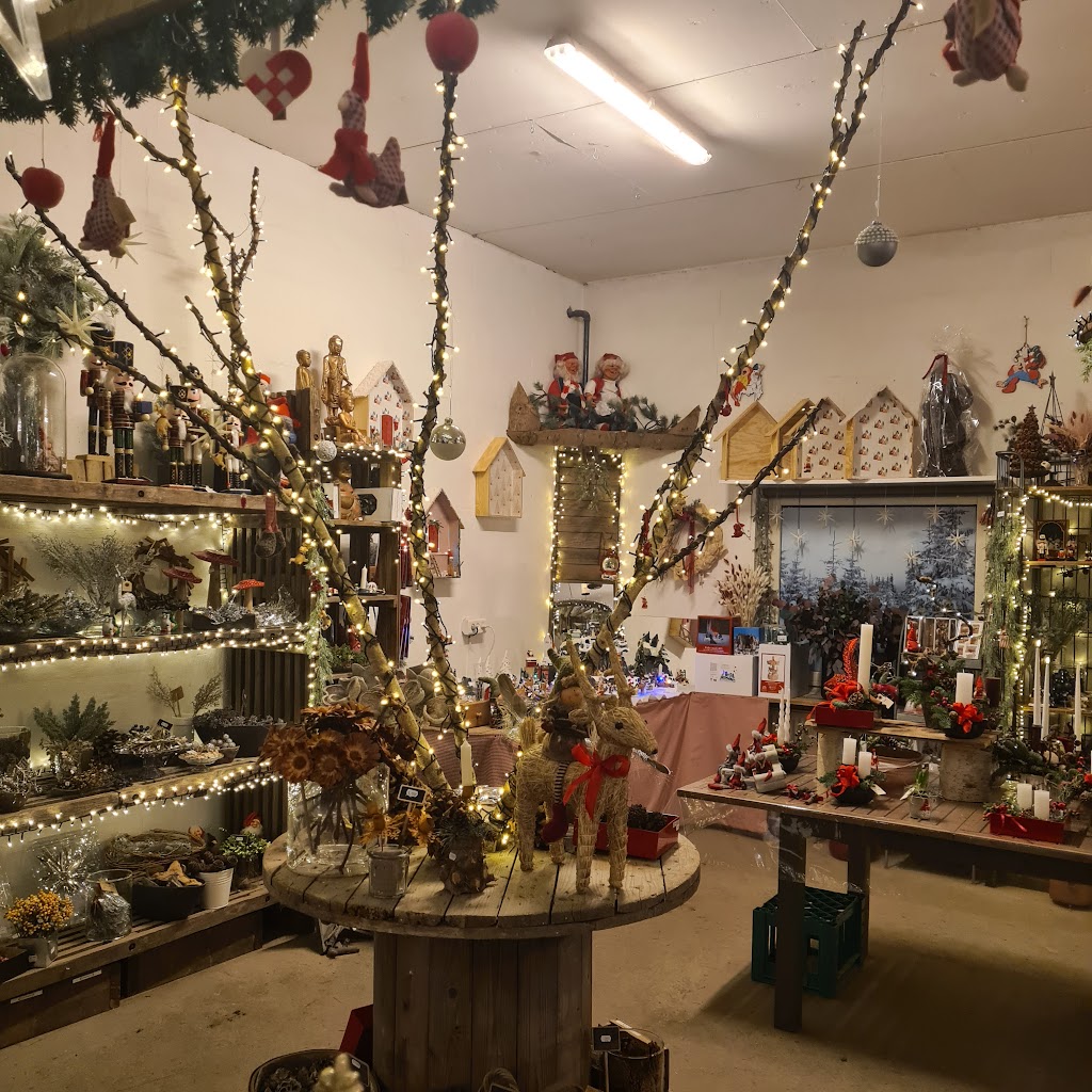 nykros-christmas-trees-1.jpeg