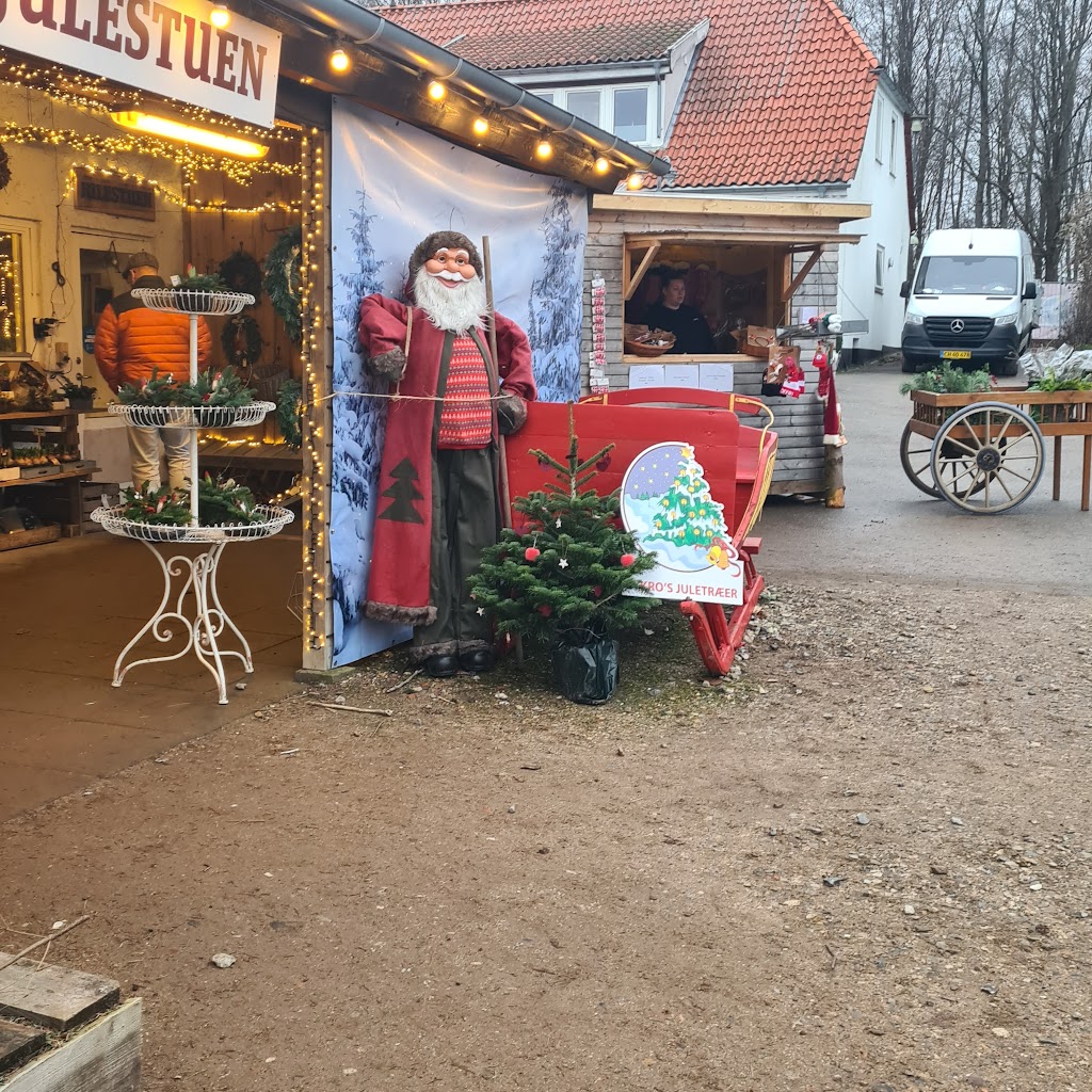 nykros-christmas-trees-13.jpeg