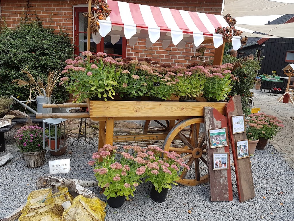 nyruphus-skovcafe-5.jpeg