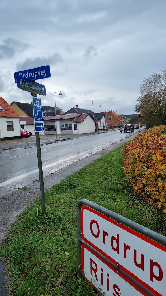 dragsholm-auto-v-torben-nielsen-1.jpeg