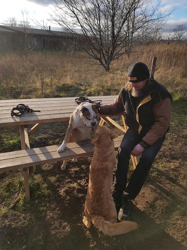 hundepark-ved-lillevang-plejecenter-16.jpeg