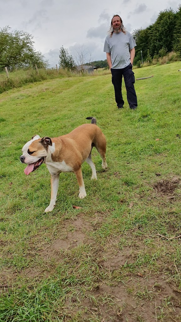hundepark-ved-lillevang-plejecenter-8.jpeg