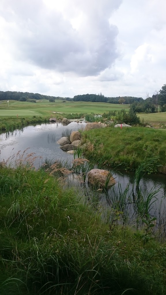 the-scandinavian-golf-club-15.jpeg