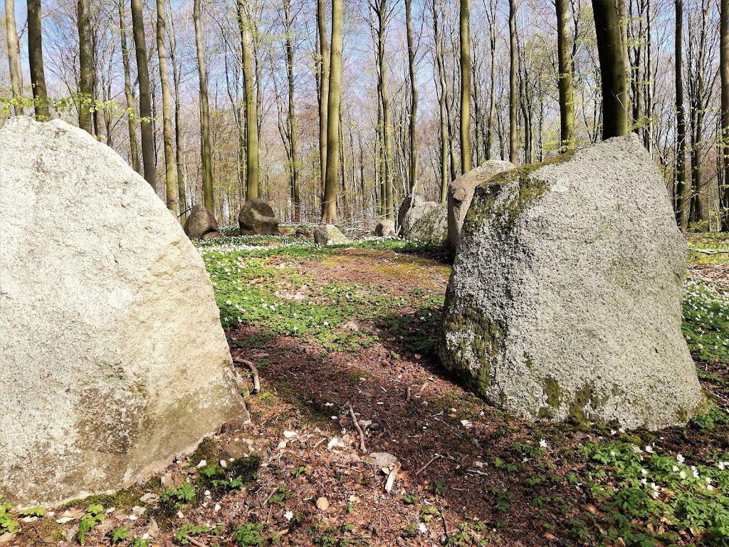 alsted-skov-runddysse-2-0.jpeg
