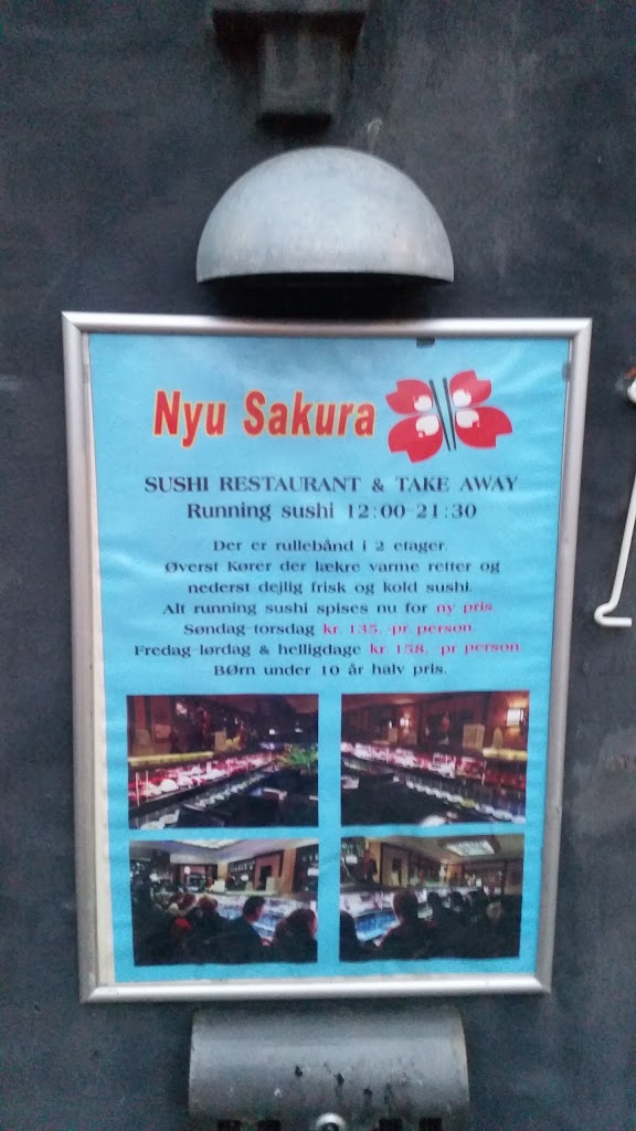nyu-sakura-11.jpeg