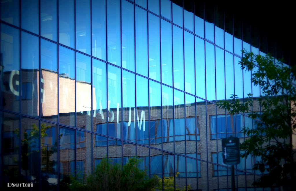 frederiksberg-gymnasium-8.jpeg