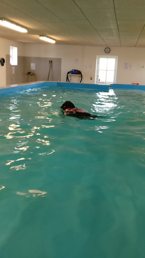 frederikssund-hundecenter-15.jpeg