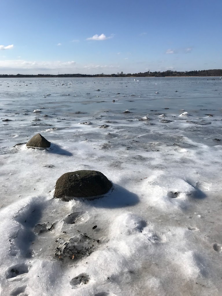 frederikssund-vikingespil-15.jpeg