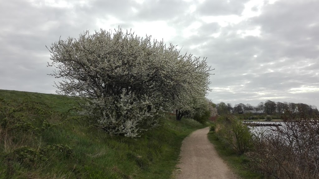 tippen-6.jpeg