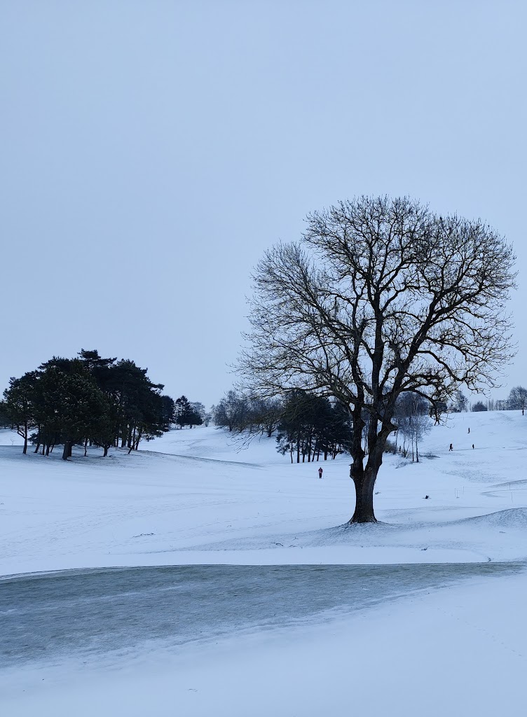 asserbo-golf-club-17.jpeg