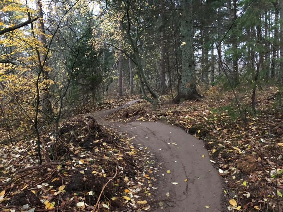 det-bla-mtb-spor-i-tisvilde-hegn-10.jpeg