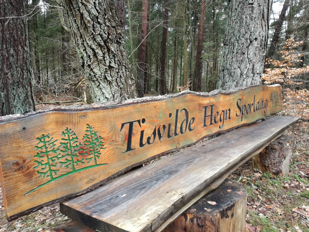 det-bla-mtb-spor-i-tisvilde-hegn-11.jpeg