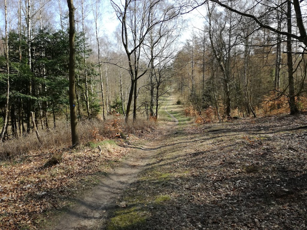 det-bla-mtb-spor-i-tisvilde-hegn-12.jpeg