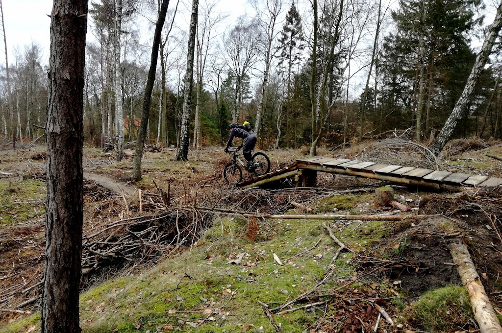 det-bla-mtb-spor-i-tisvilde-hegn-14.jpeg