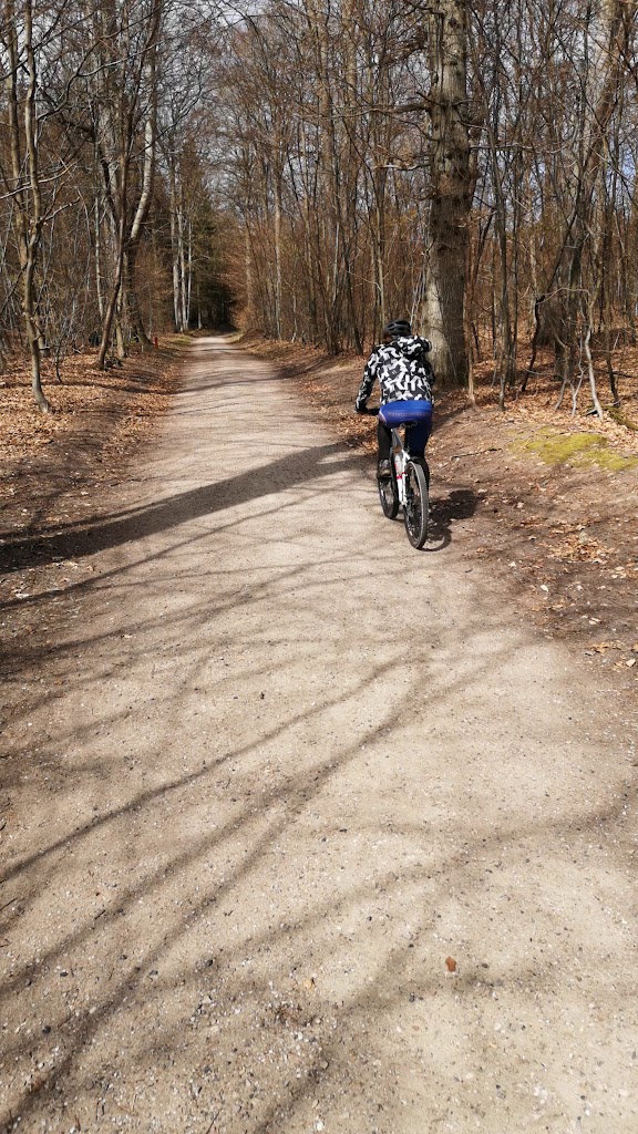 det-bla-mtb-spor-i-tisvilde-hegn-17.jpeg