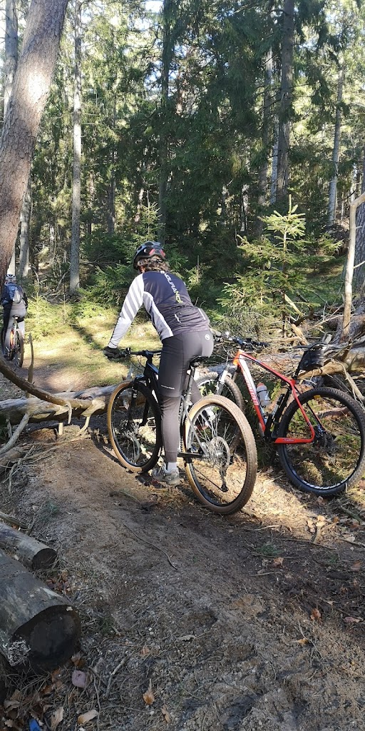 det-bla-mtb-spor-i-tisvilde-hegn-4.jpeg