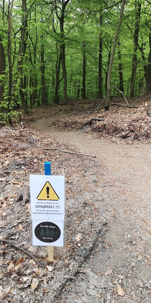 det-bla-mtb-spor-i-tisvilde-hegn-5.jpeg