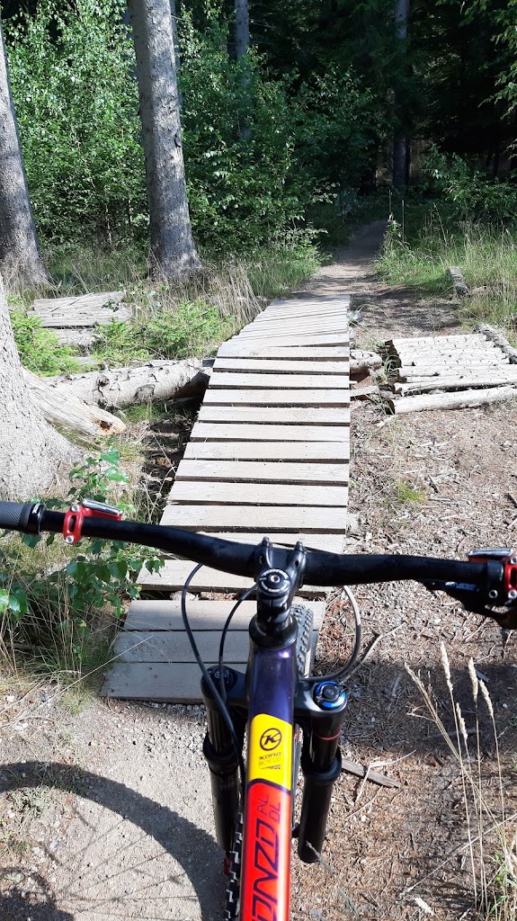 det-bla-mtb-spor-i-tisvilde-hegn-6.jpeg