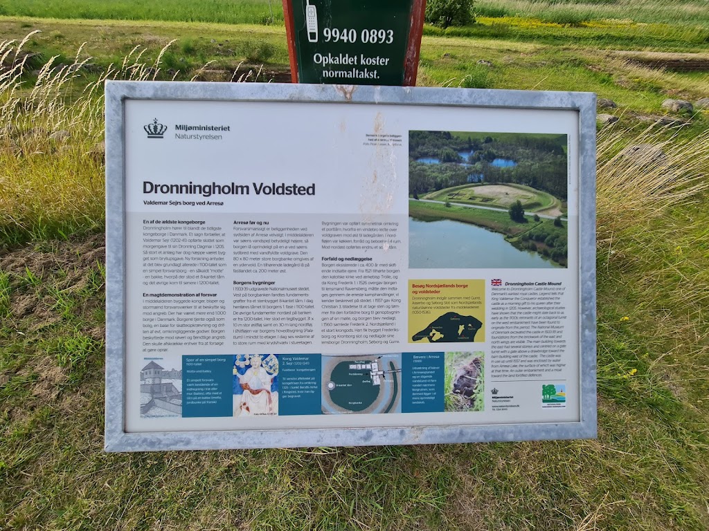 dronningholm-castle-ruin-3.jpeg