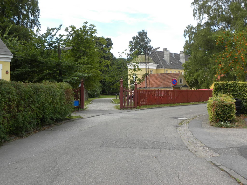 frivilligcenter-halsnaes-6.jpeg