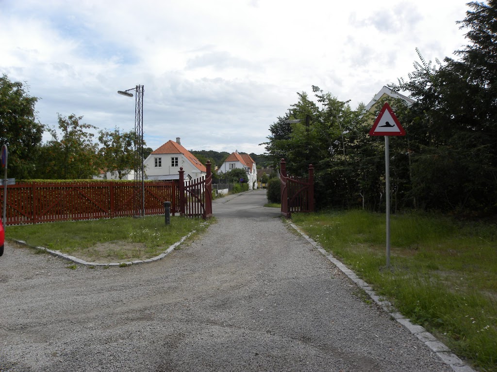 frivilligcenter-halsnaes-7.jpeg