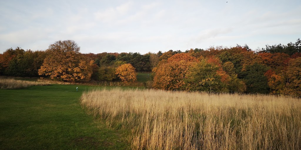 halsnaes-discgolf-forening-11.jpeg