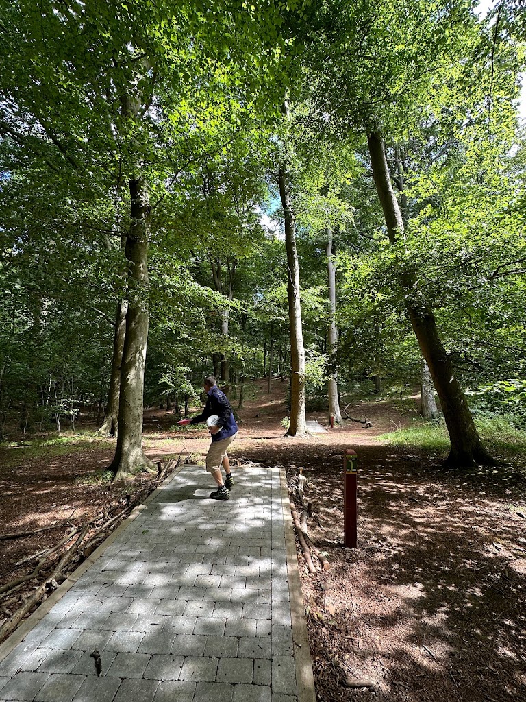 halsnaes-discgolf-forening-12.jpeg