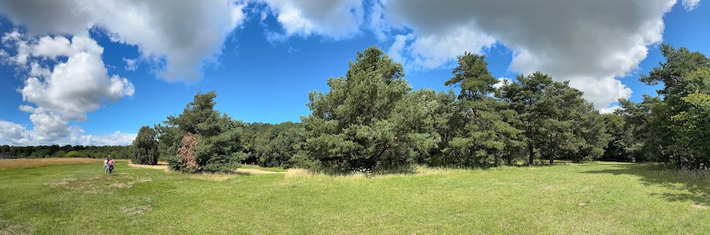 halsnaes-discgolf-forening-5.jpeg