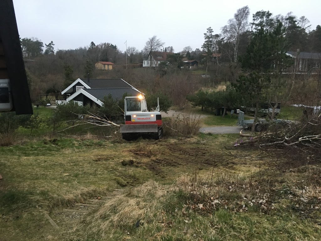hornsyld-tree-felling-v-martin-hornsyld-14.jpeg