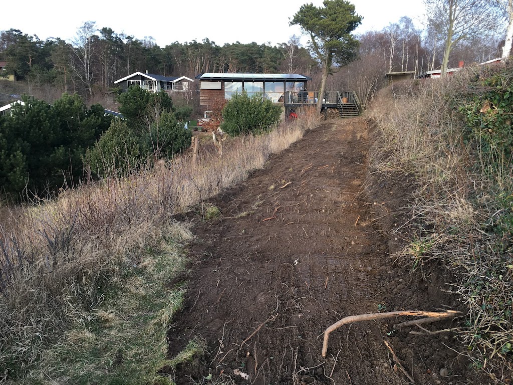 hornsyld-tree-felling-v-martin-hornsyld-5.jpeg