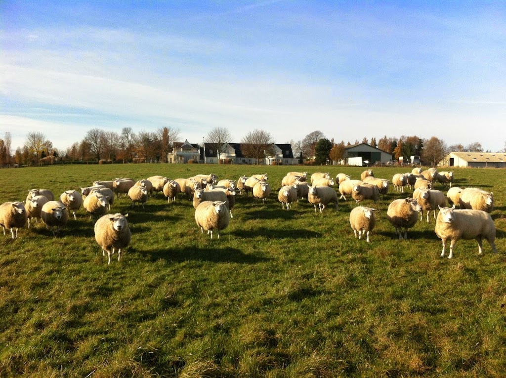 sofryds-landbrug-i-s-4.jpeg