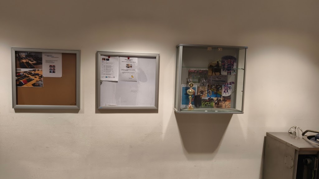 bakkegardsskolen-legeplads-7.jpeg