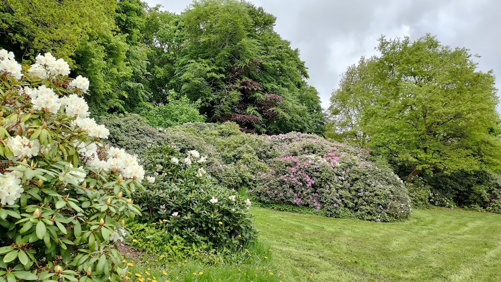 bernstorff-park-10.jpeg