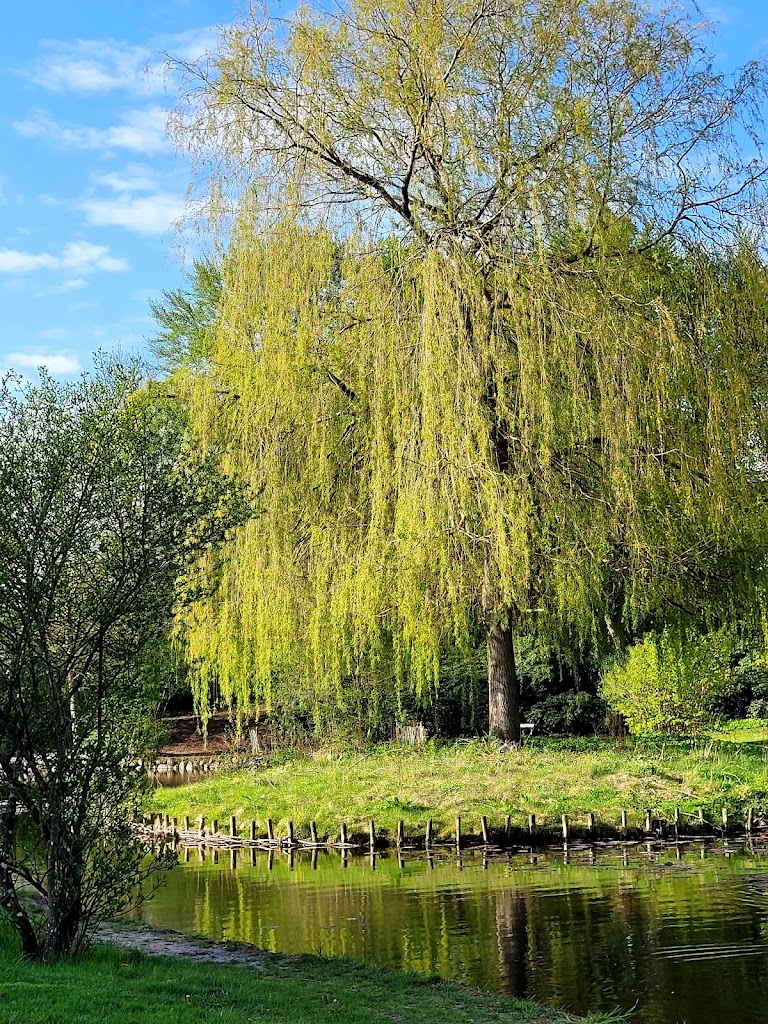 bernstorff-park-11.jpeg