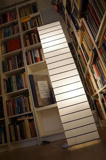 danish-antiquarian-bookshop-13.jpeg