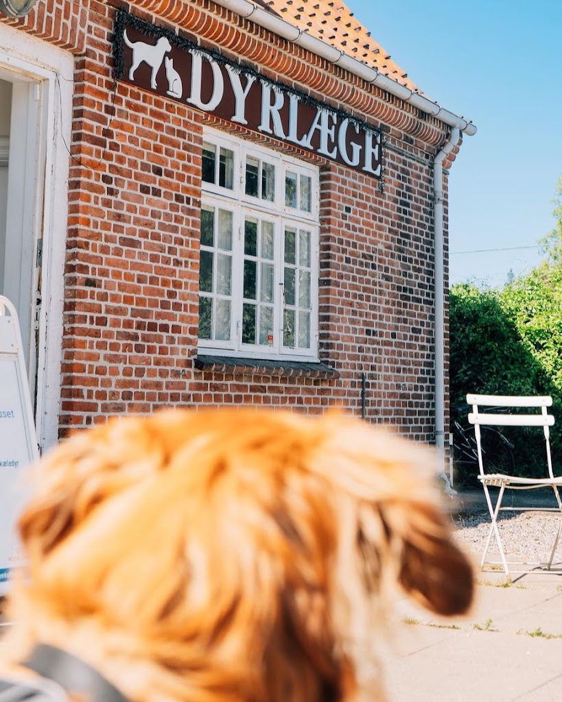 dyrlaegehuset-gentofte-10.jpeg