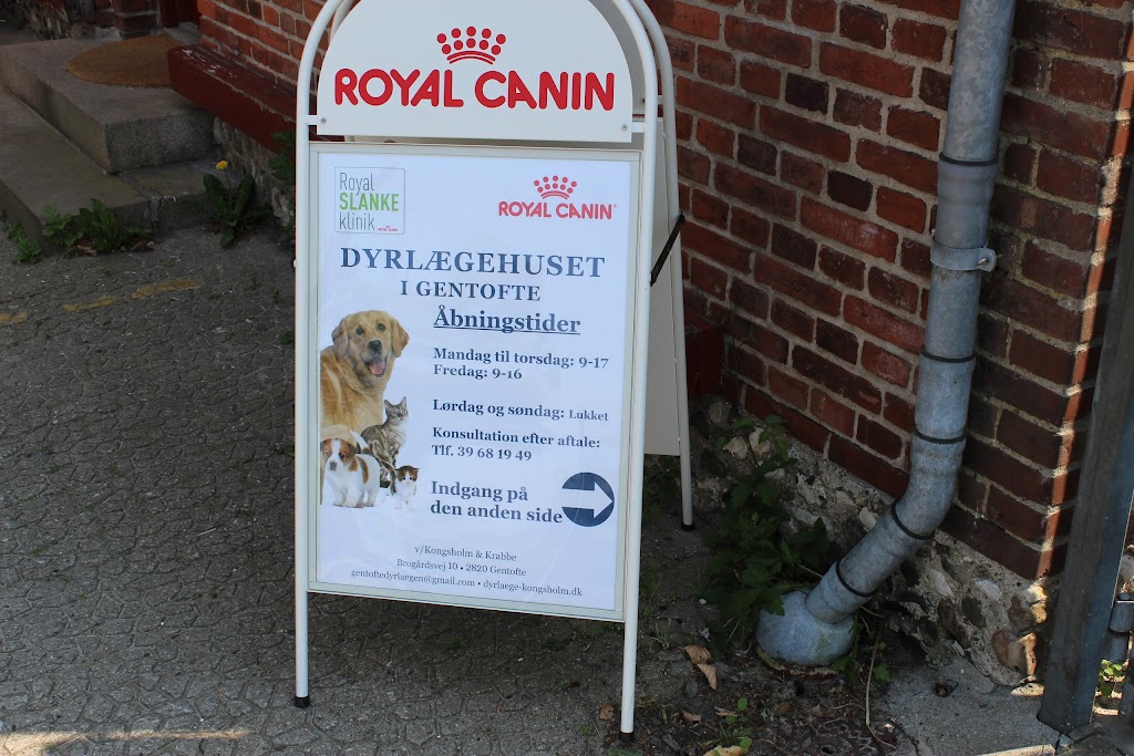 dyrlaegehuset-gentofte-4.jpeg