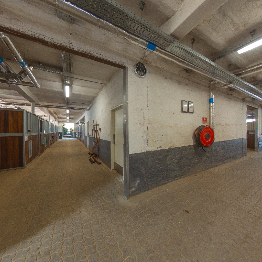 gentofte-rideklub-14.jpeg