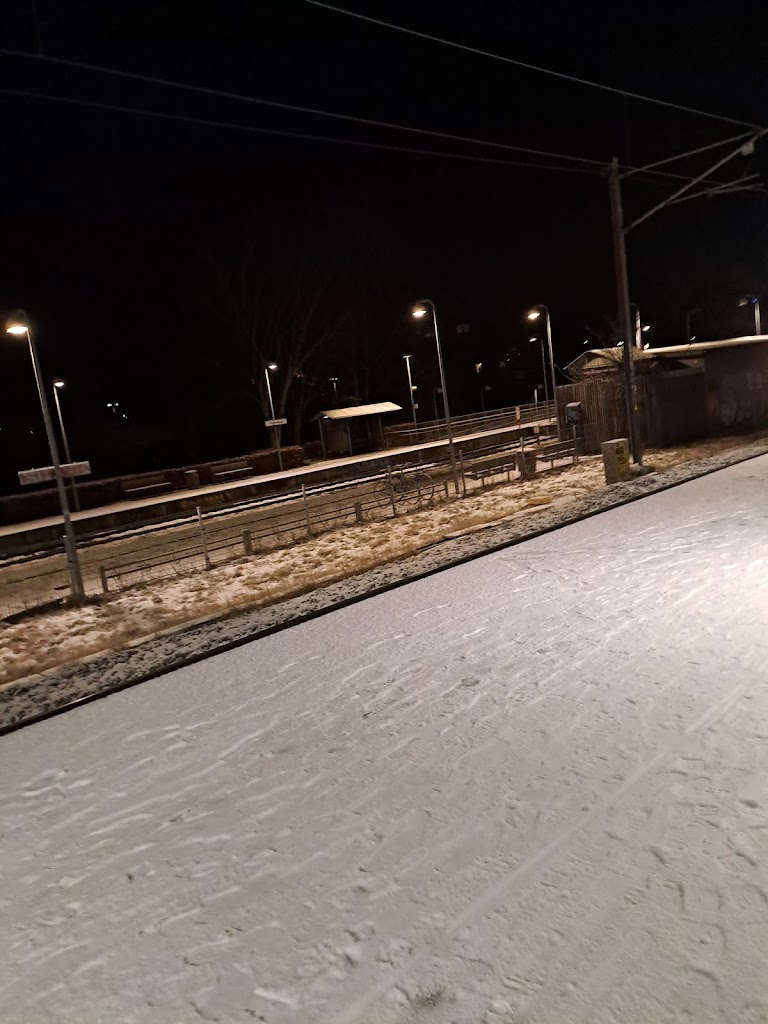 jaegersborg-station-9.jpeg