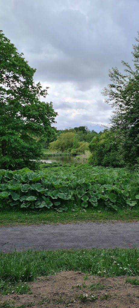 legeplads-ved-hundesomosen-14.jpeg