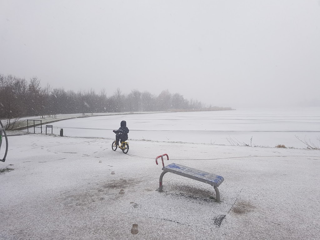 outdoor-fitness-park-15.jpeg
