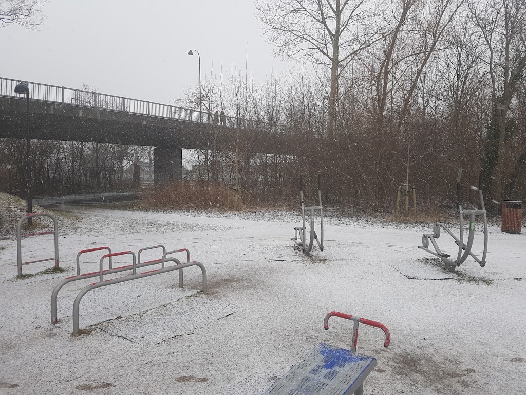 outdoor-fitness-park-8.jpeg
