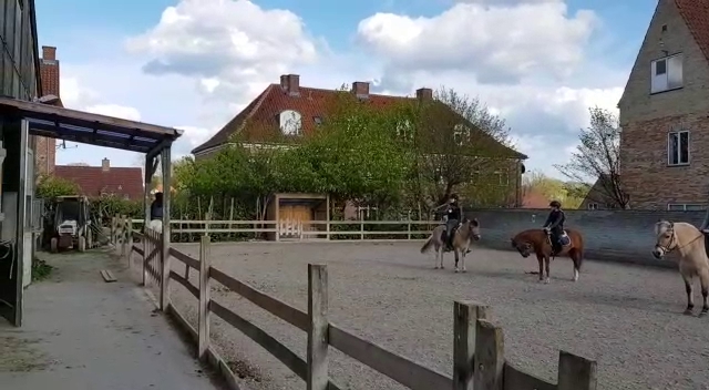 tattersall-pony-riding-club-13.jpeg