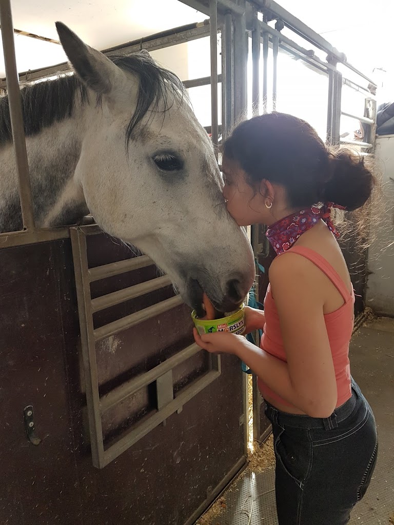 tattersall-pony-riding-club-17.jpeg