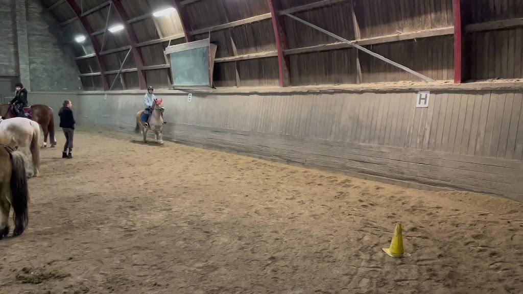 tattersall-pony-riding-club-2.jpeg