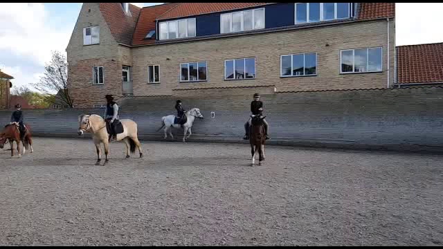 tattersall-pony-riding-club-4.jpeg