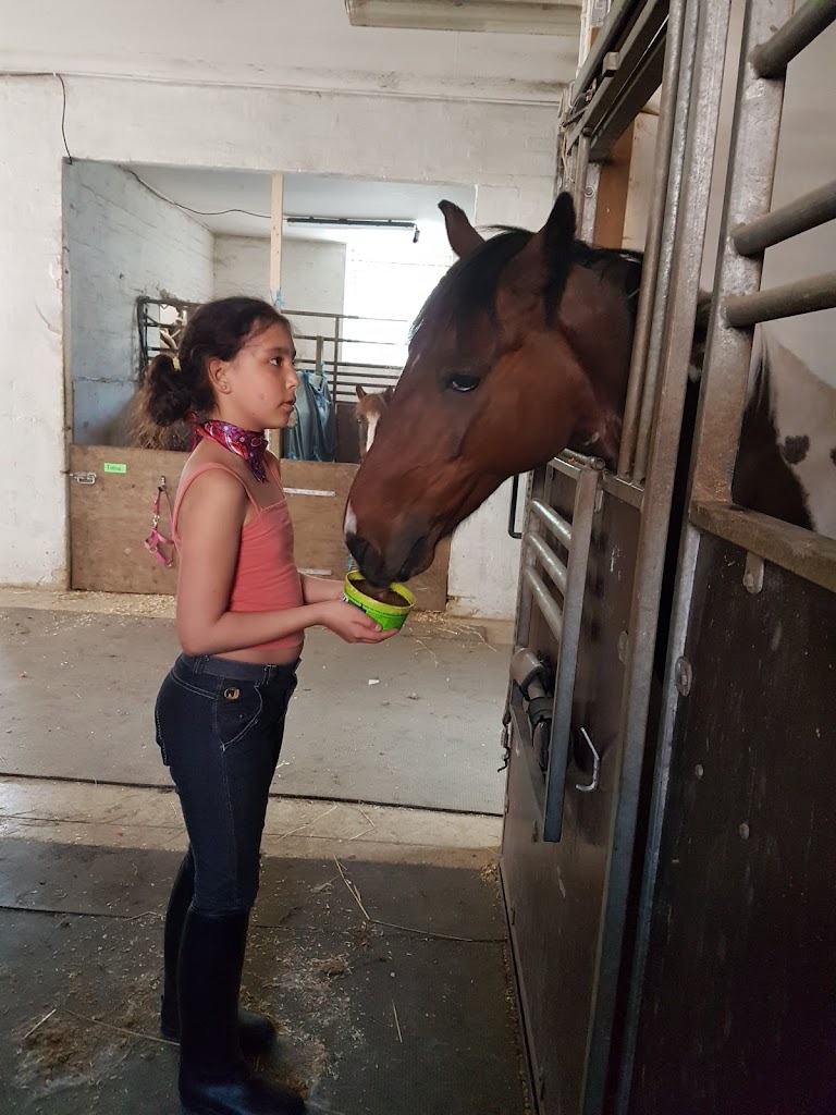 tattersall-pony-riding-club-6.jpeg