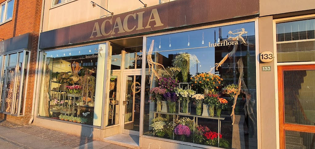acacia-4.jpeg